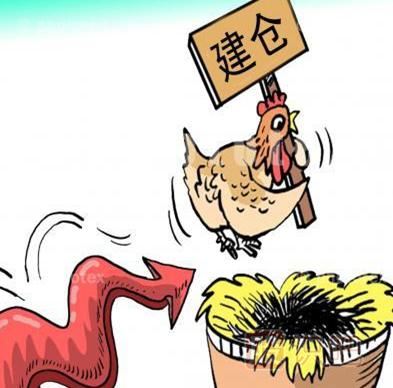 股市周期運行中的底部區(qū)